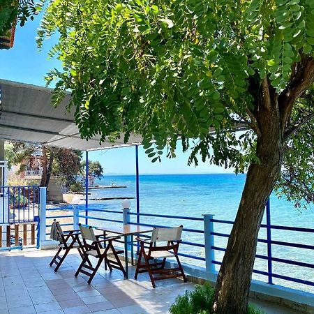 Manolis Studios Thassos Skála Kallirákhis Extérieur photo