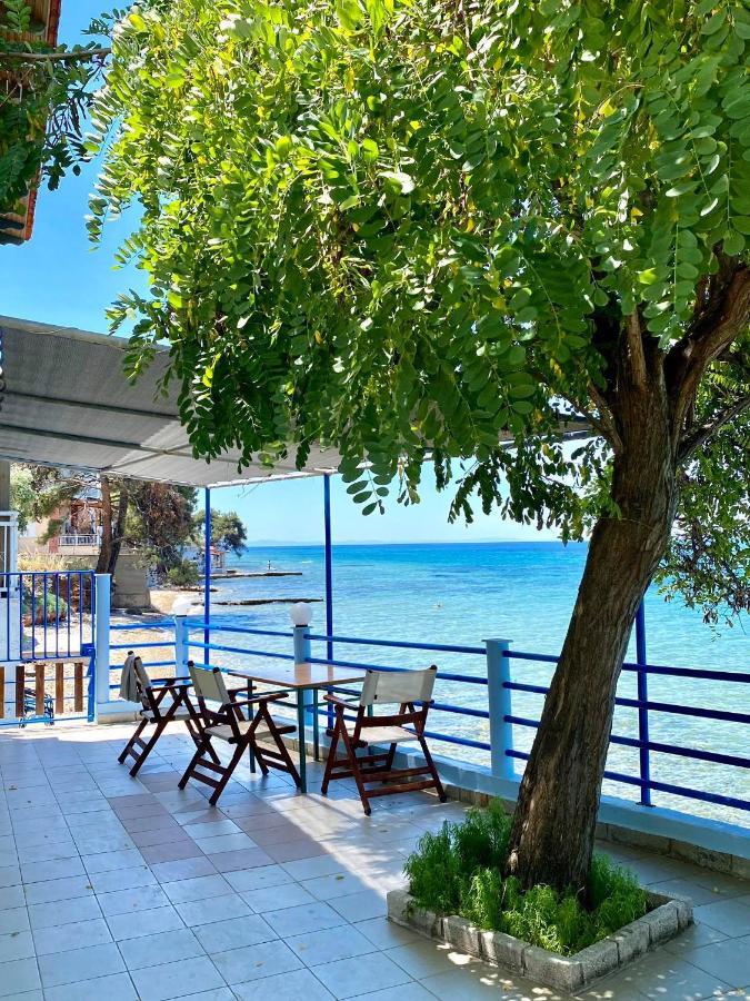 Manolis Studios Thassos Skála Kallirákhis Extérieur photo