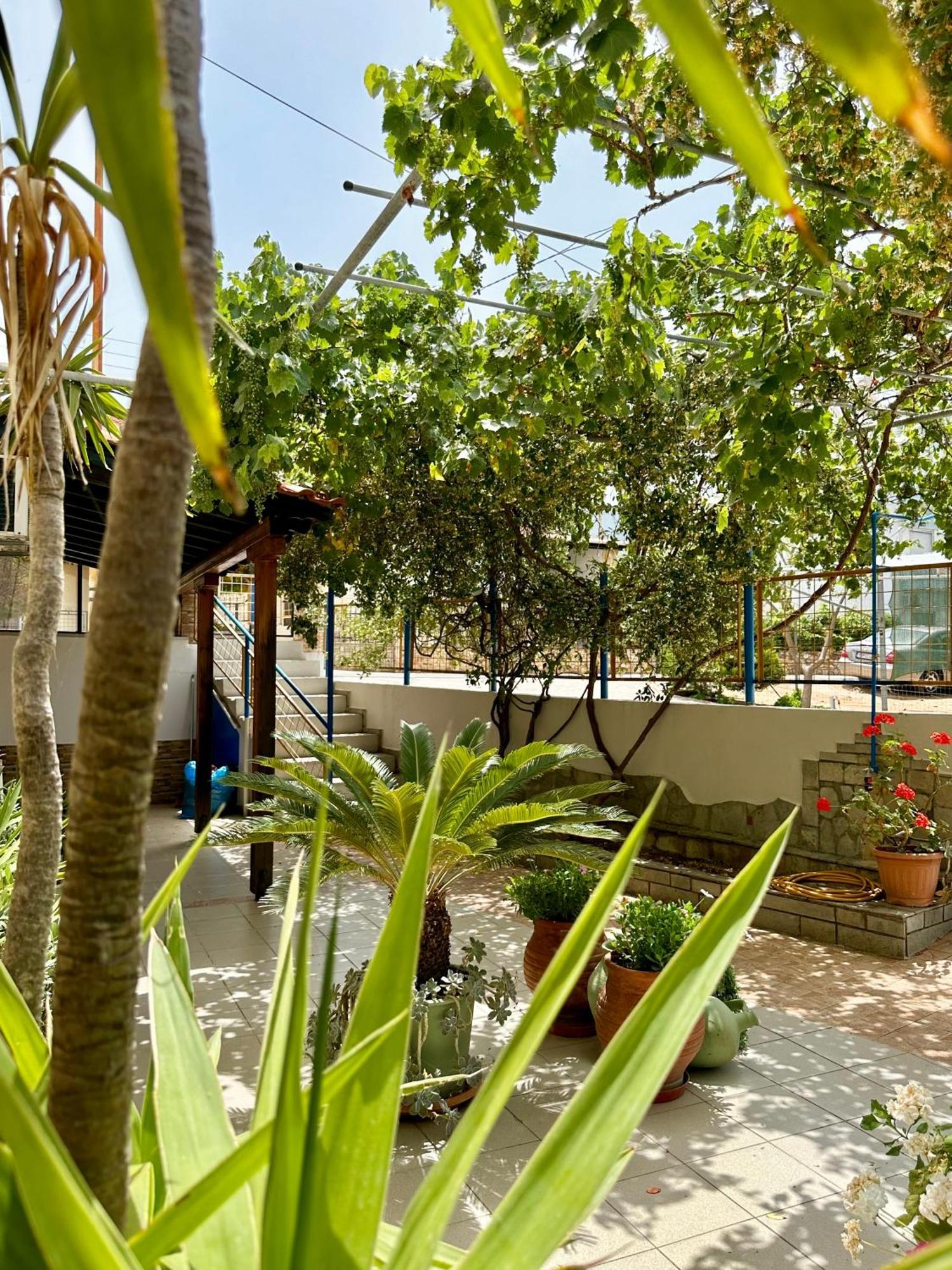 Manolis Studios Thassos Skála Kallirákhis Extérieur photo