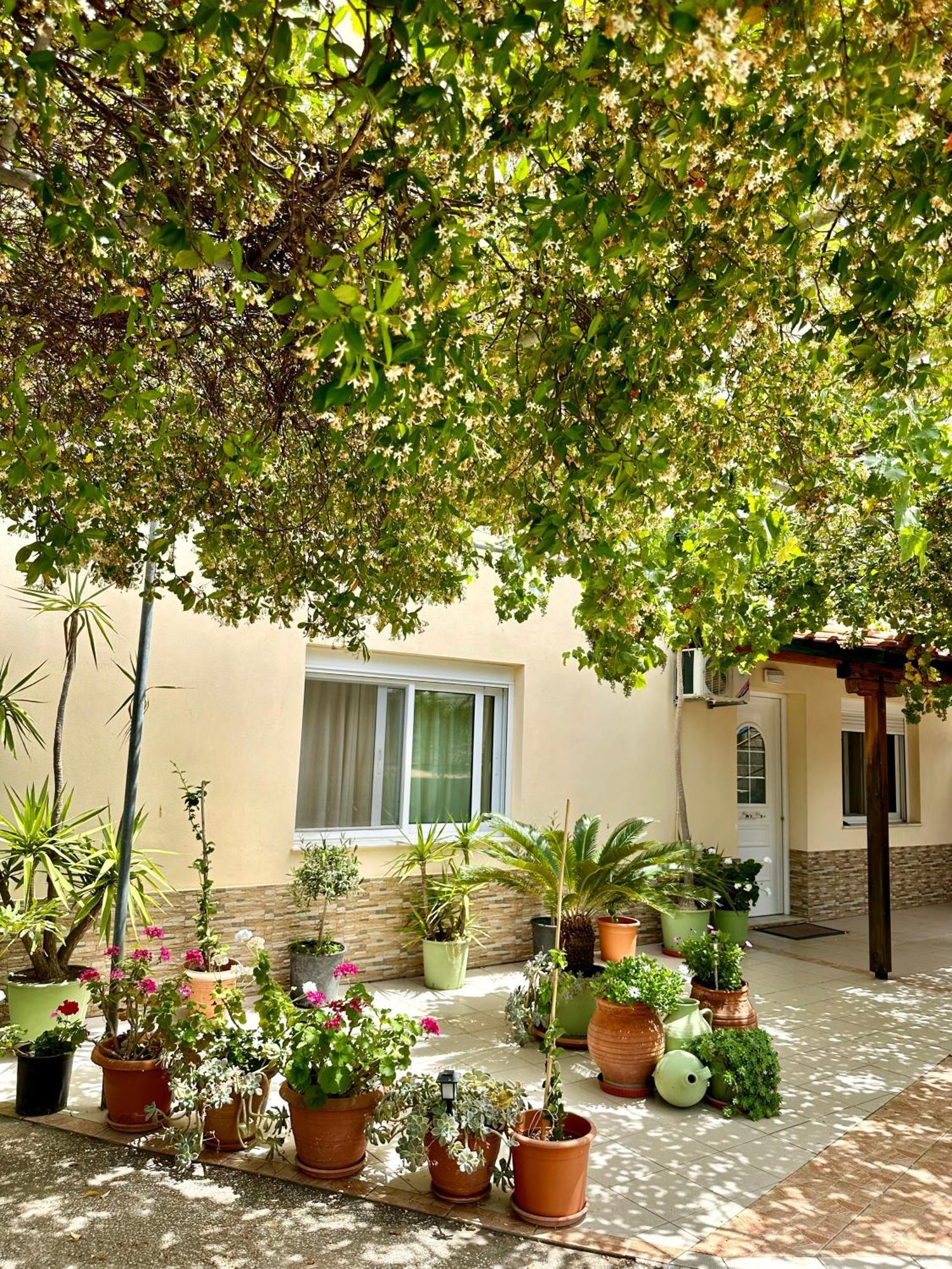 Manolis Studios Thassos Skála Kallirákhis Extérieur photo