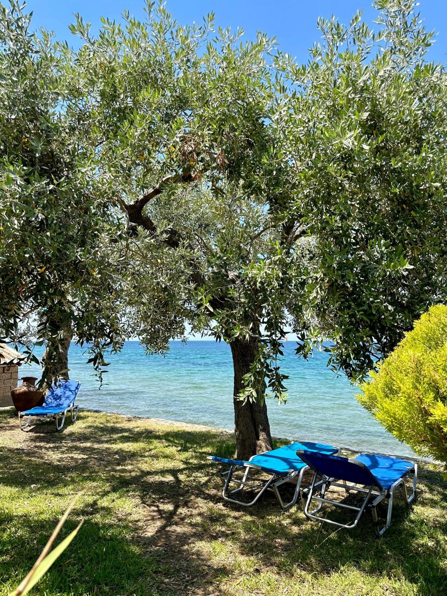 Manolis Studios Thassos Skála Kallirákhis Extérieur photo